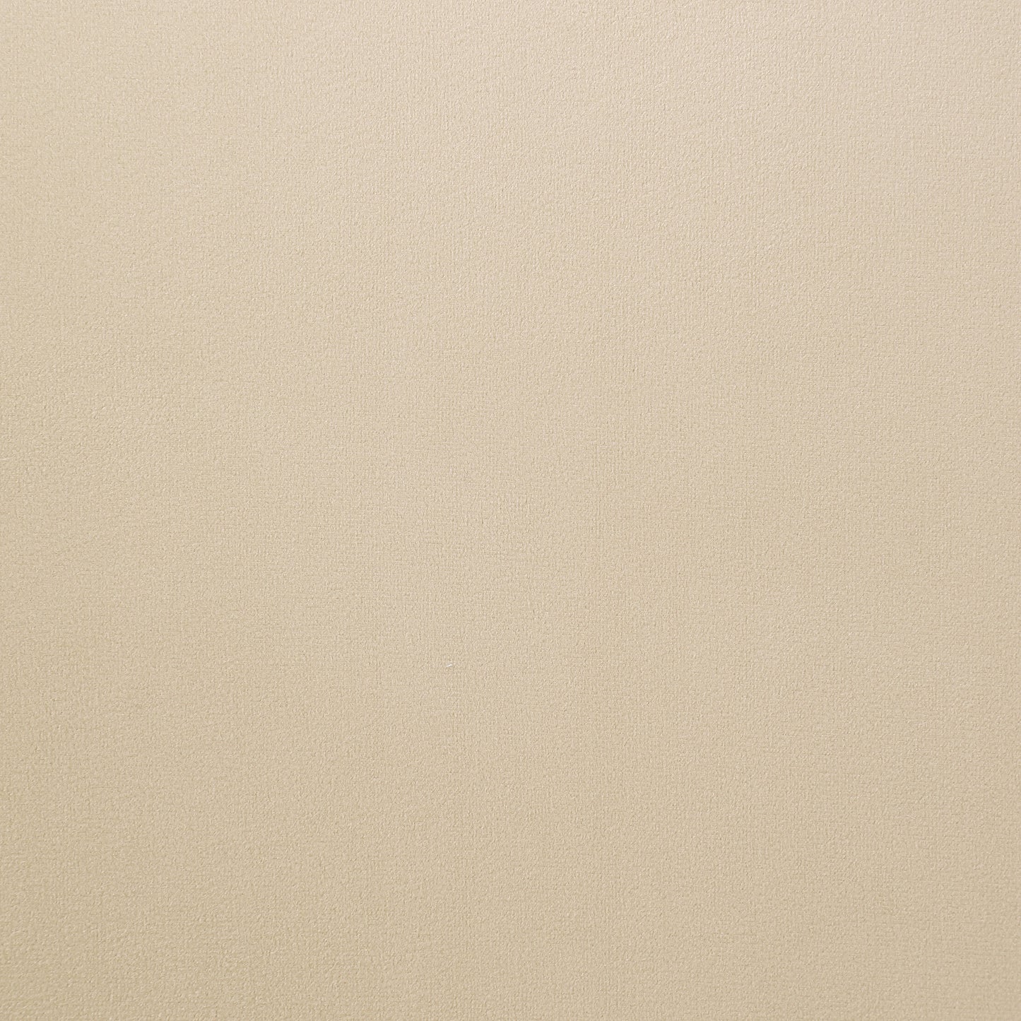 7.5" velvet upholstered dining arm chair beige (set of 2)beige