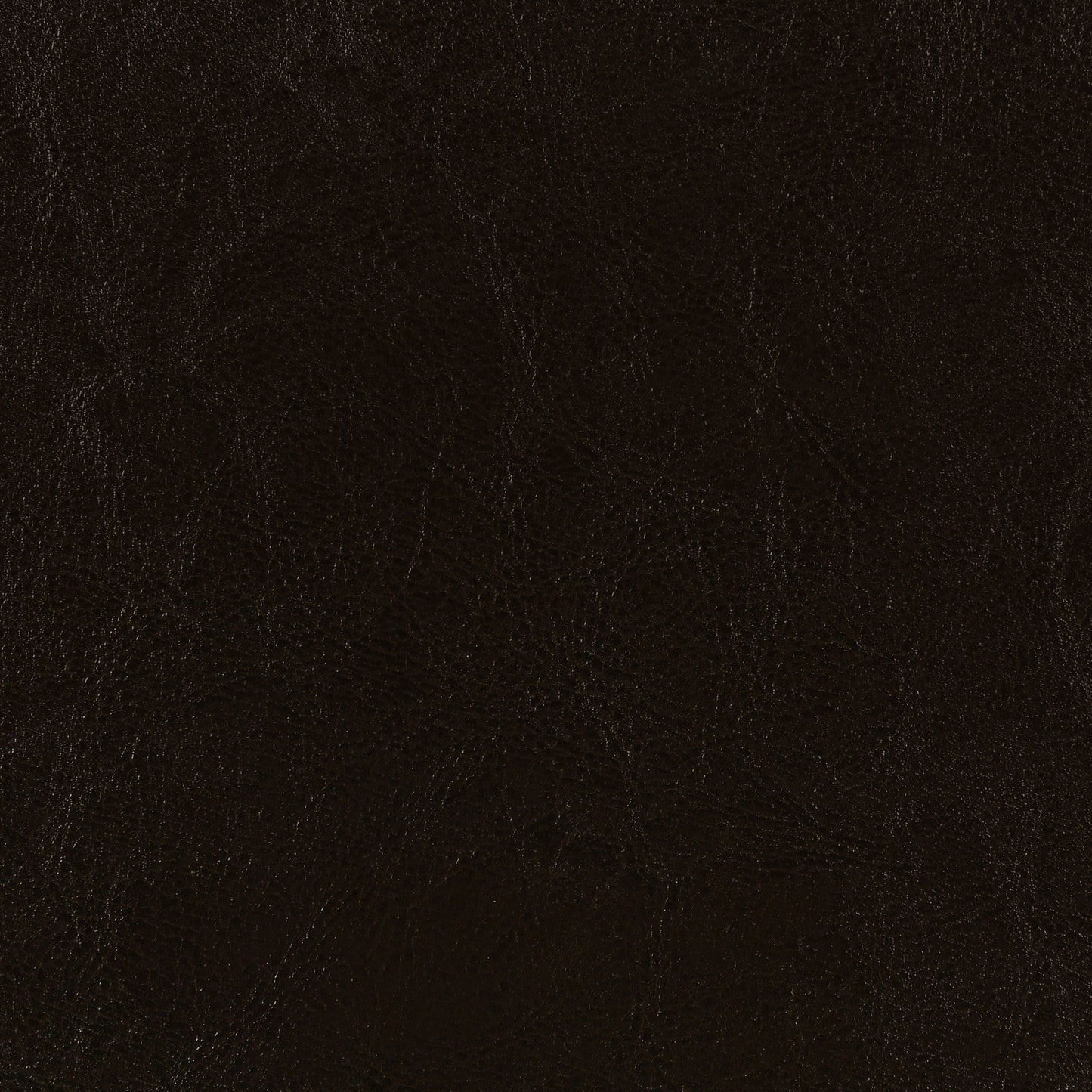 anita upholstered queen panel bed brownbrown