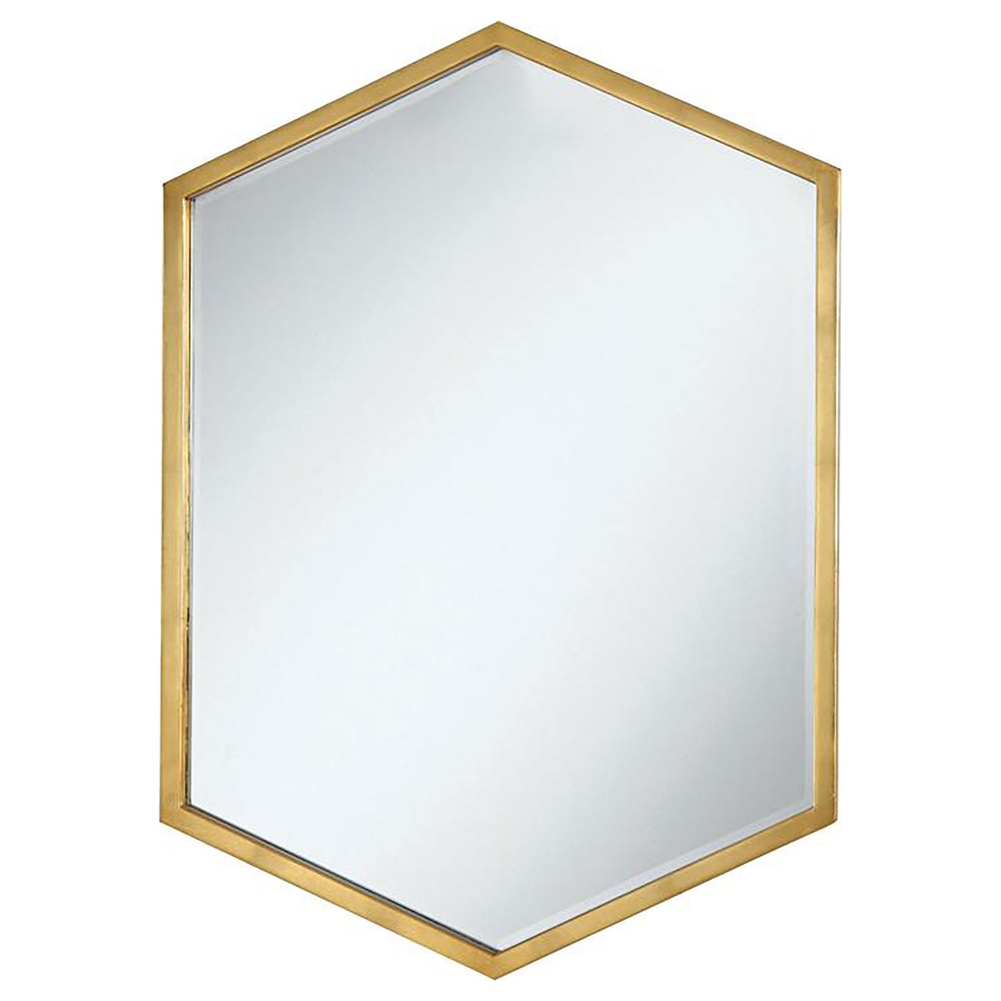 winslow 24 x 34 inch hexagonal wall mirror goldgold