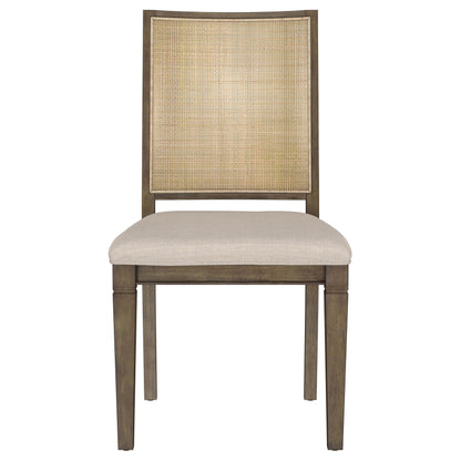 Apperson Woven Rattan Back Dining Side Chair Brown (Set of 2)