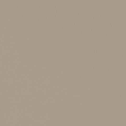 Kingman Polypropylene Dining Side Chair Tan (Set of 2)Tan