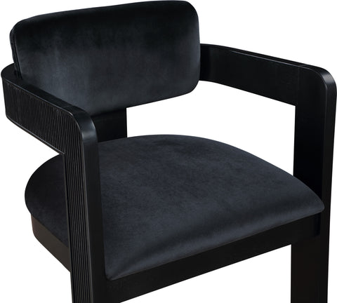 Selene Black Velvet Upholstered Dining Chair , 2-Piece (Style 2)