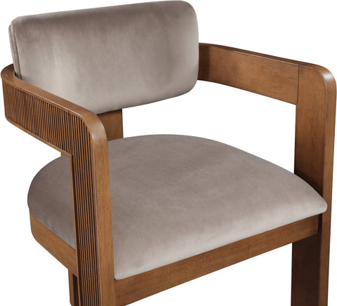 Selene Taupe Velvet Upholstered Dining Chair , 2-Piece (Style 2)