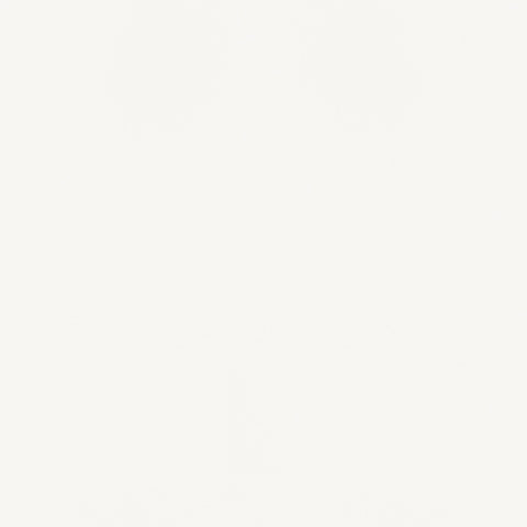 Turk Upholstered Dining Side Chair White (Set of 2)White