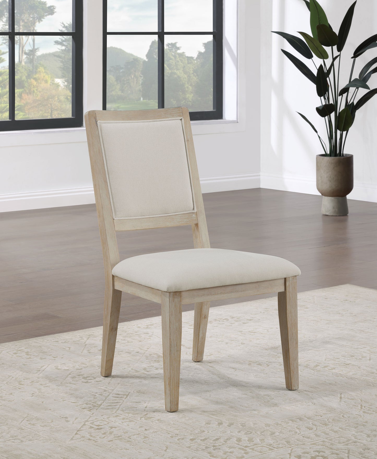 kenyon cushioned dining side chair white washed (set of 2)