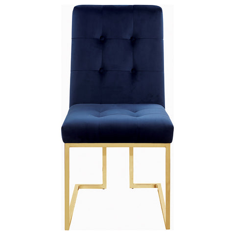 Kerwin Velvet Upholstered Dining Side Chair Gold (Set of 2)Blue / Gold