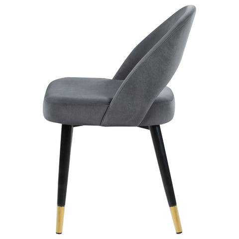 Dyer Upholstered Dining Side Chair Grey (Set of 2)Grey