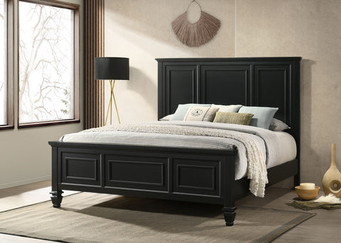 Jackie Beach Wood Queen Panel Bed BlackBlack