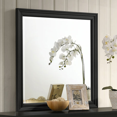 Jackie Beach Dresser Mirror BlackBlack