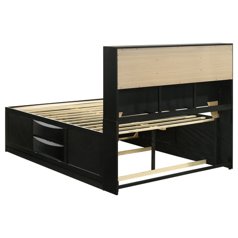 Raul Wood Queen Storage Bookcase Bed BlackBlack