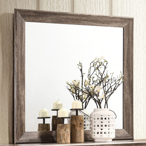 Danika Dresser Mirror Washed TaupeWashed Taupe