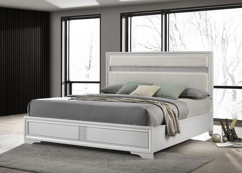 Olvera 54-inch Upholstered California King Panel Bed WhiteWhite
