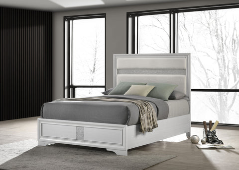Olvera 54-inch Upholstered Queen Panel Bed WhiteWhite