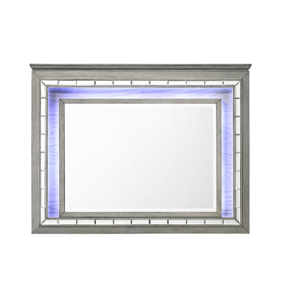 MIRROR W/LED