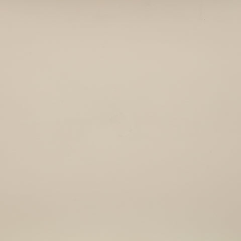 Faye Beige Vegan Leather Upholstered Bench, 1 Piece (Style 2)