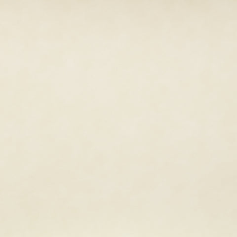 Faye Cream Vegan Leather Upholstered Bench, 1 Piece (Style 2)