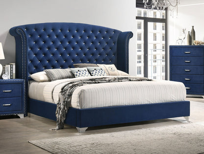 Aiko Upholstered Queen Wingback Bed Pacific BluePacific Blue