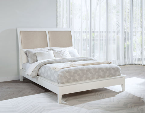 Allora 56-inch Upholstered Queen Panel Bed WhiteWhite