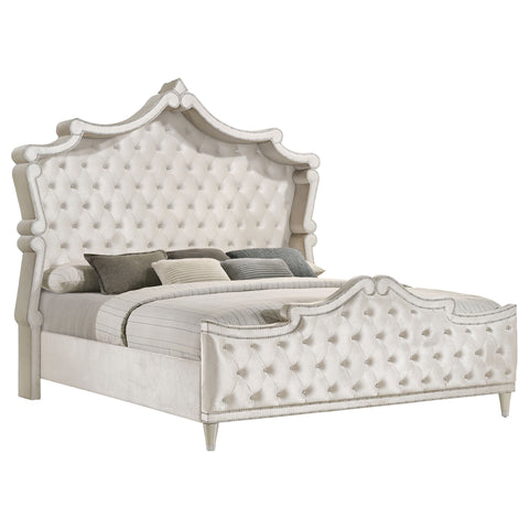 Pinciotti 5-piece Eastern King Bedroom Set IvoryIvory / Camel