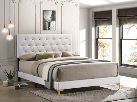Alice Upholstered Queen Panel Bed WhiteWhite