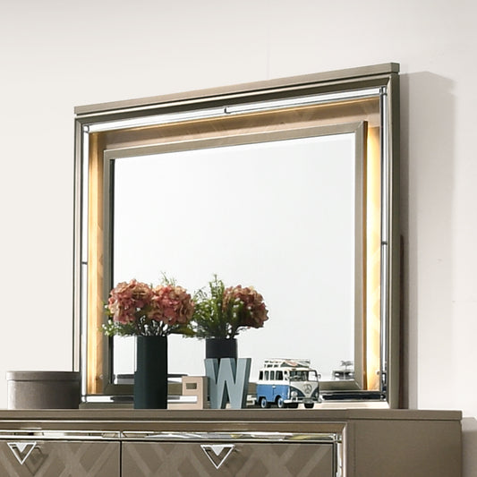 MIRROR W/LED