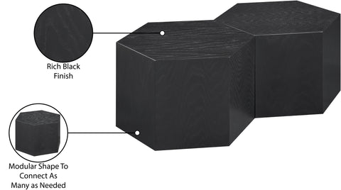 Quinn Black Oak Wood Coffee Table, 2-Piece