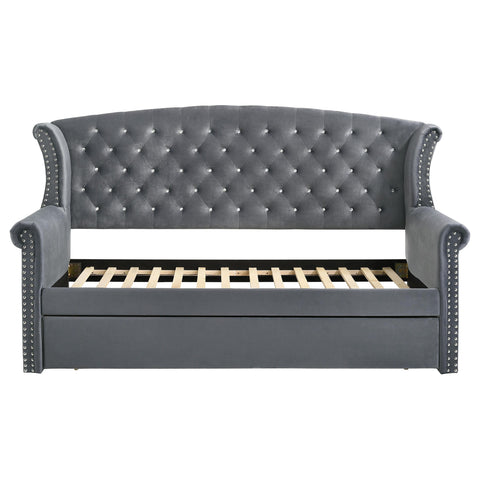 Payne Upholstered Twin Daybed with Trundle Grey