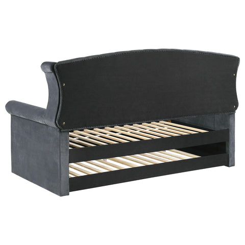 Payne Upholstered Twin Daybed with Trundle Grey