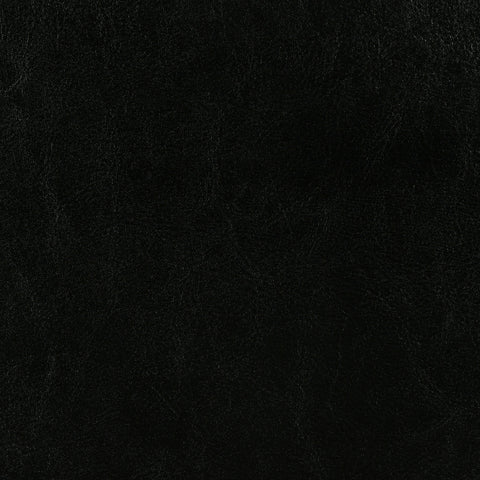 Anita Upholstered Full Panel Bed BlackBlack