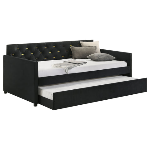 Alice Upholstered Twin Daybed with Trundle BlackBlack