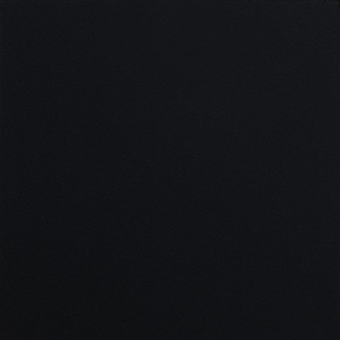 Rudy Metal Twin Mattress Support Platform Bed BlackBlack