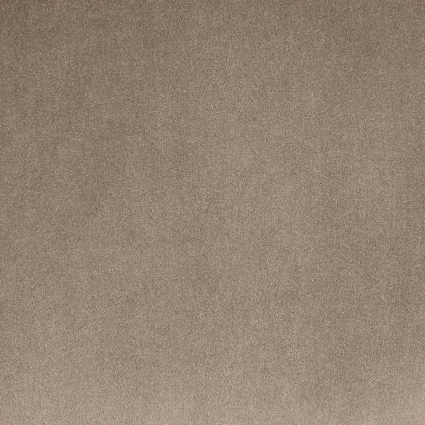 Delaney Taupe Velvet Upholstered Accent Chair, 1 Piece