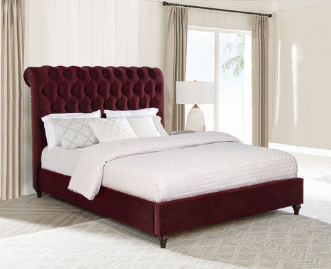 Myles 57-inch Upholstered Queen Panel Bed Wine RedWine Red