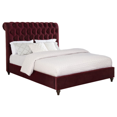 Myles 57-inch Upholstered Queen Panel Bed Wine RedWine Red