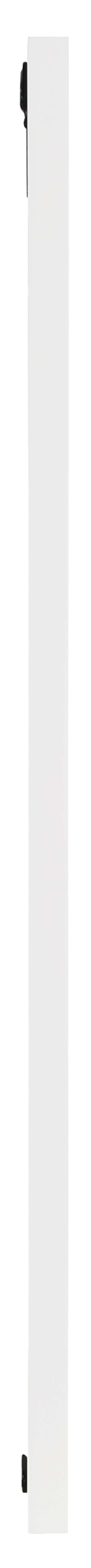 Delaney 24" White Birch Veneer Frame Mirror, 1 Piece