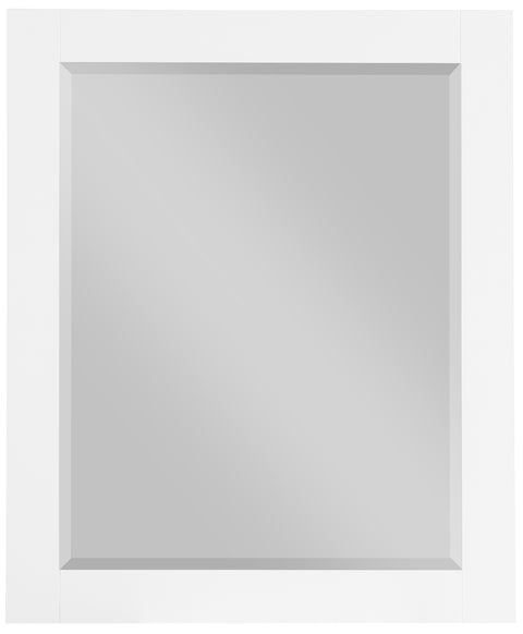 Delaney 30" White Birch Veneer Frame Mirror, 1 Piece