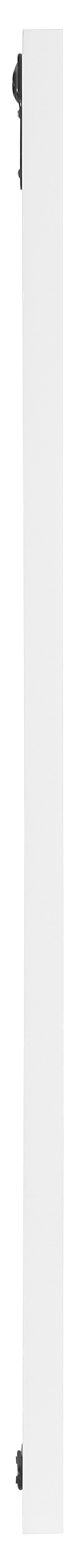 Delaney 30" White Birch Veneer Frame Mirror, 1 Piece
