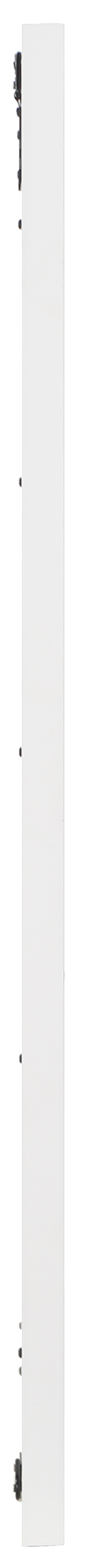 Delaney 44" White Birch Veneer Frame Mirror, 1 Piece