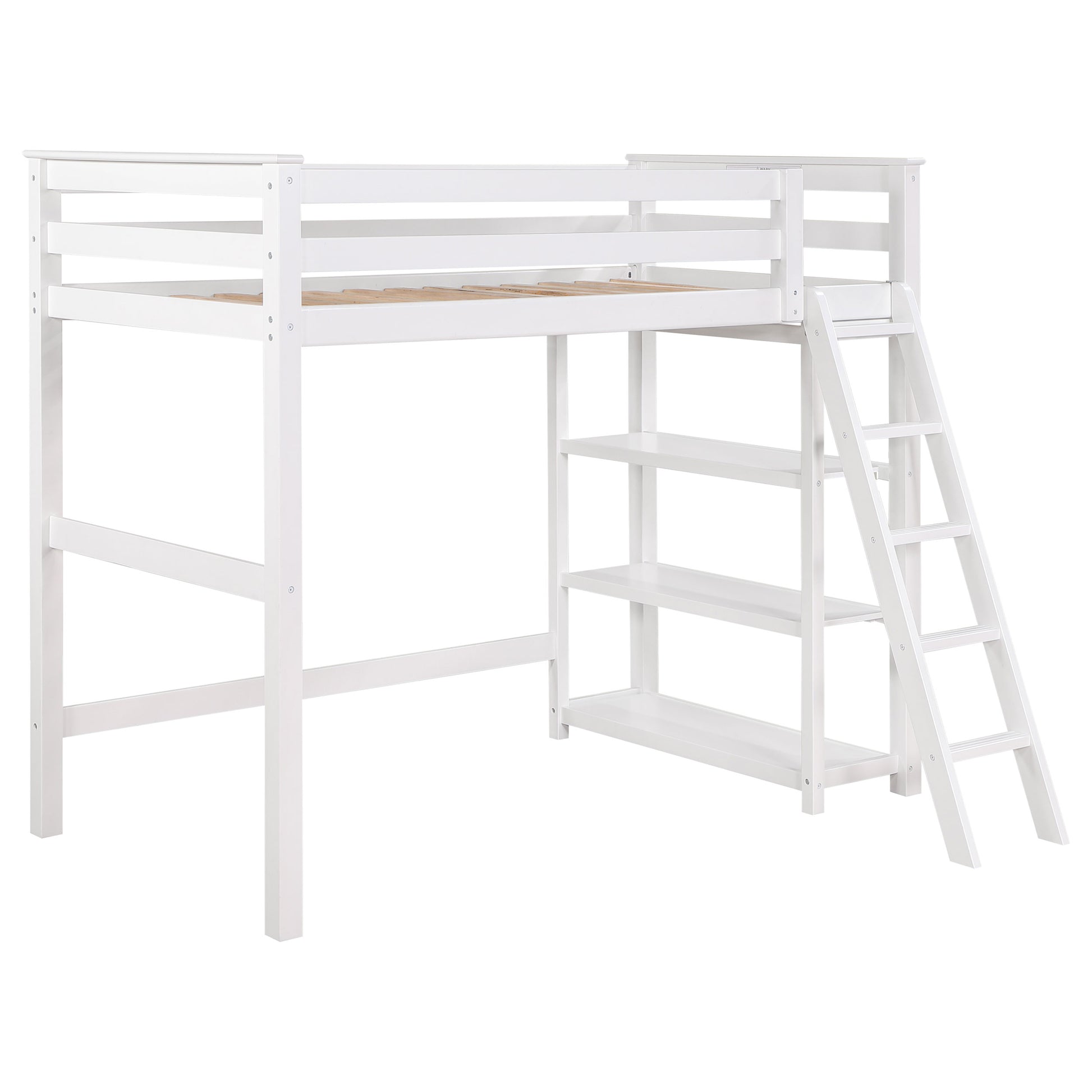 Twin Loft Bed