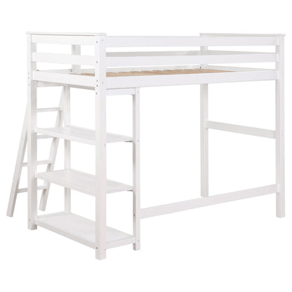 Twin Loft Bed