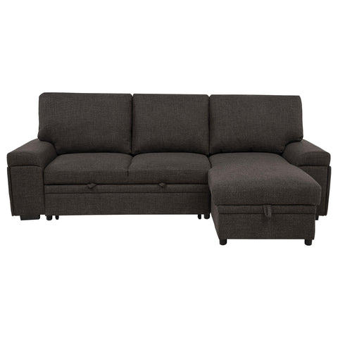 Madden Sleeper Sectional Sofa with Speaker and Storage Chaise Brown