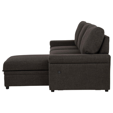 Madden Sleeper Sectional Sofa with Speaker and Storage Chaise Brown