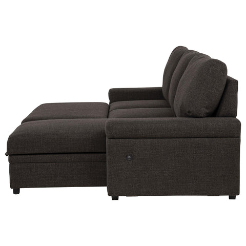 Madden Sleeper Sectional Sofa with Speaker and Storage Chaise Brown