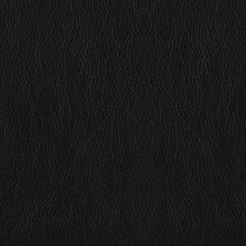 Elizabeth Upholstered Padded Arm Tufted Sofa BlackBlack