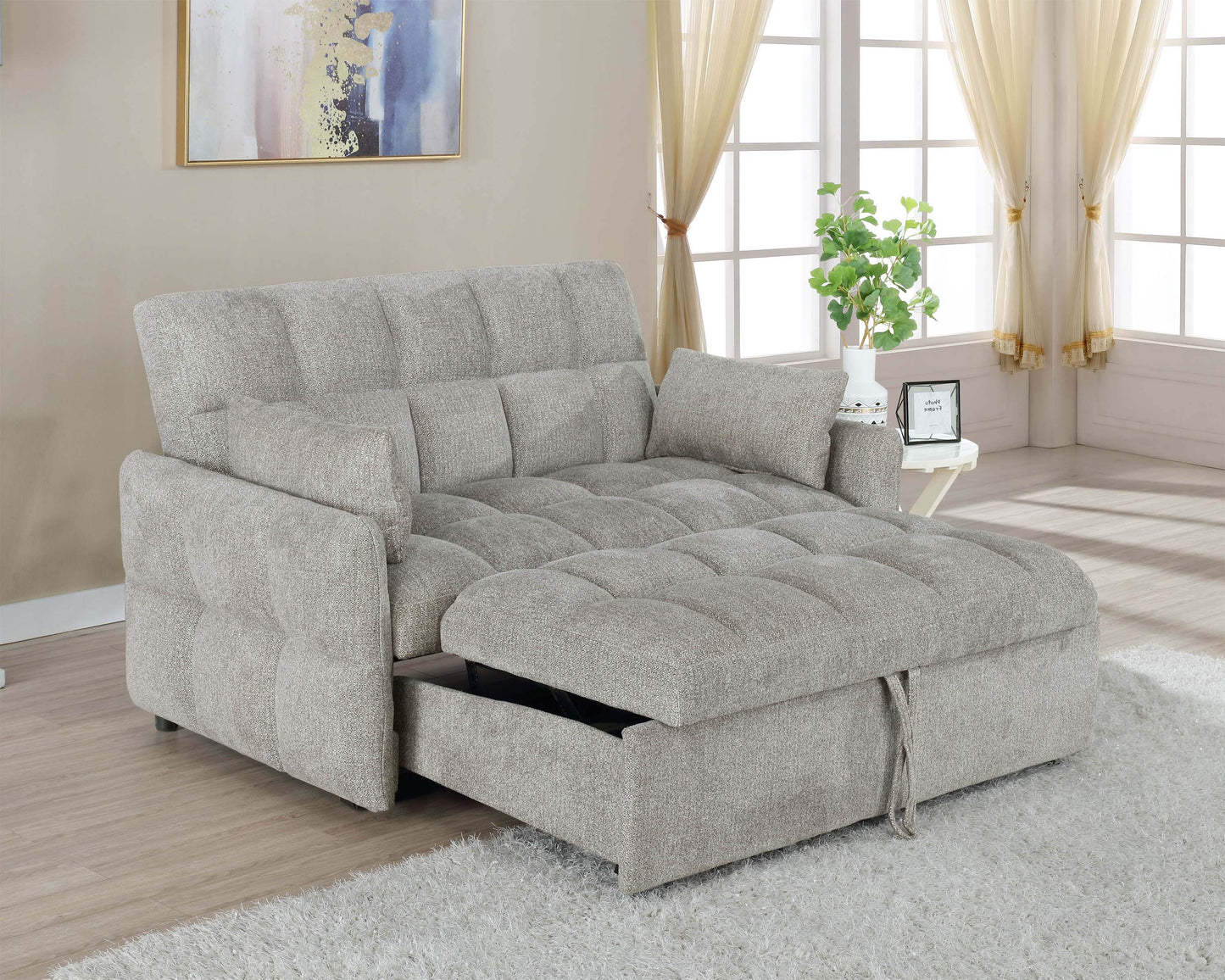 sleeper sofa bed