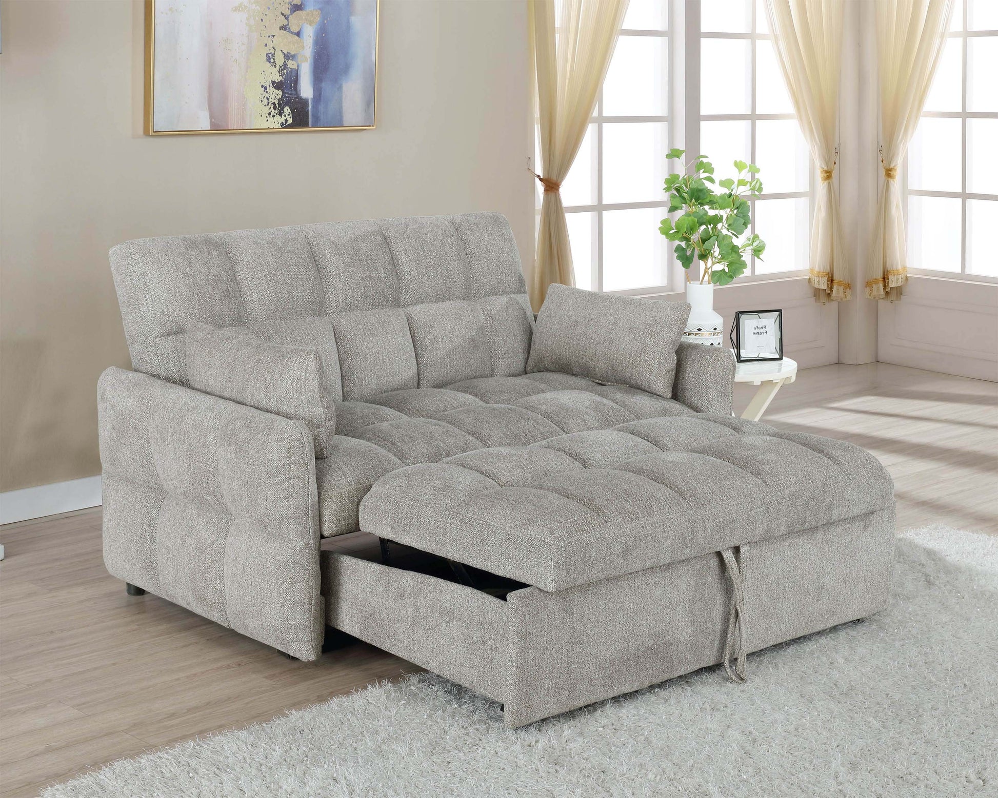 Sleeper Sofa Bed