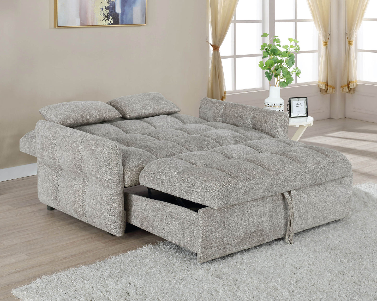 sleeper sofa bed