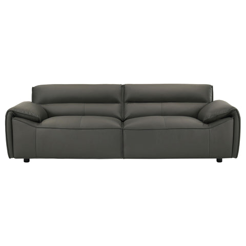 Delroy 2-piece Leather Upholstered Sofa Set Graphite