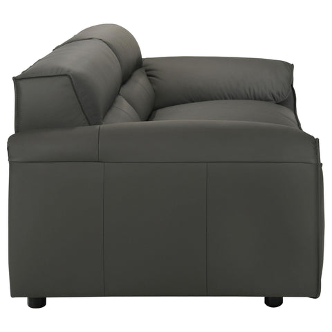 Delroy 2-piece Leather Upholstered Sofa Set Graphite
