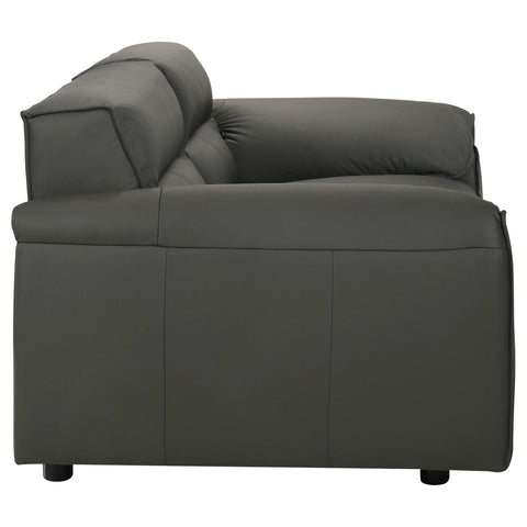 Delroy 2-piece Leather Upholstered Sofa Set Graphite